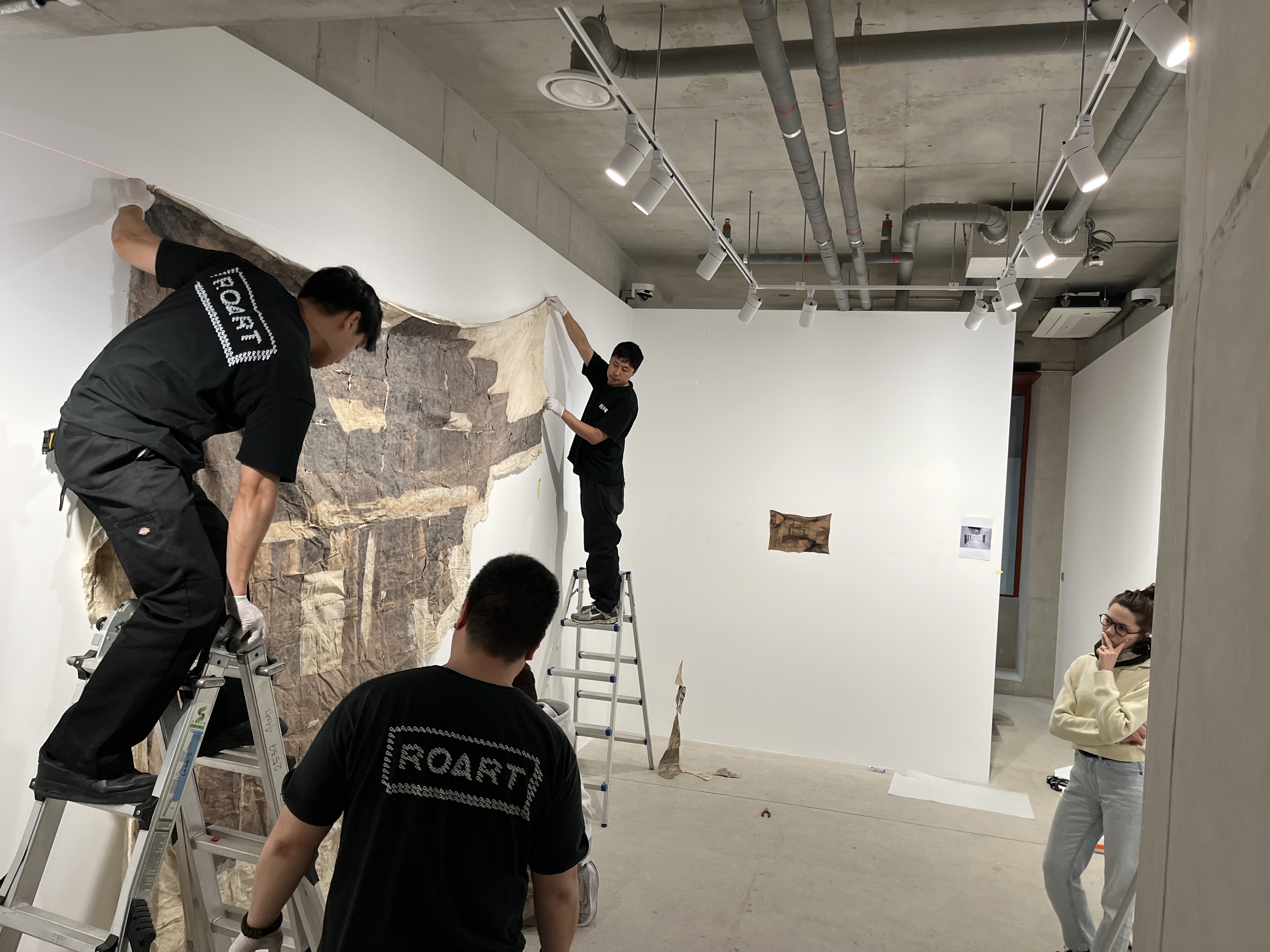 마이어리거울프_포토택시스 – 해 너머 그림자